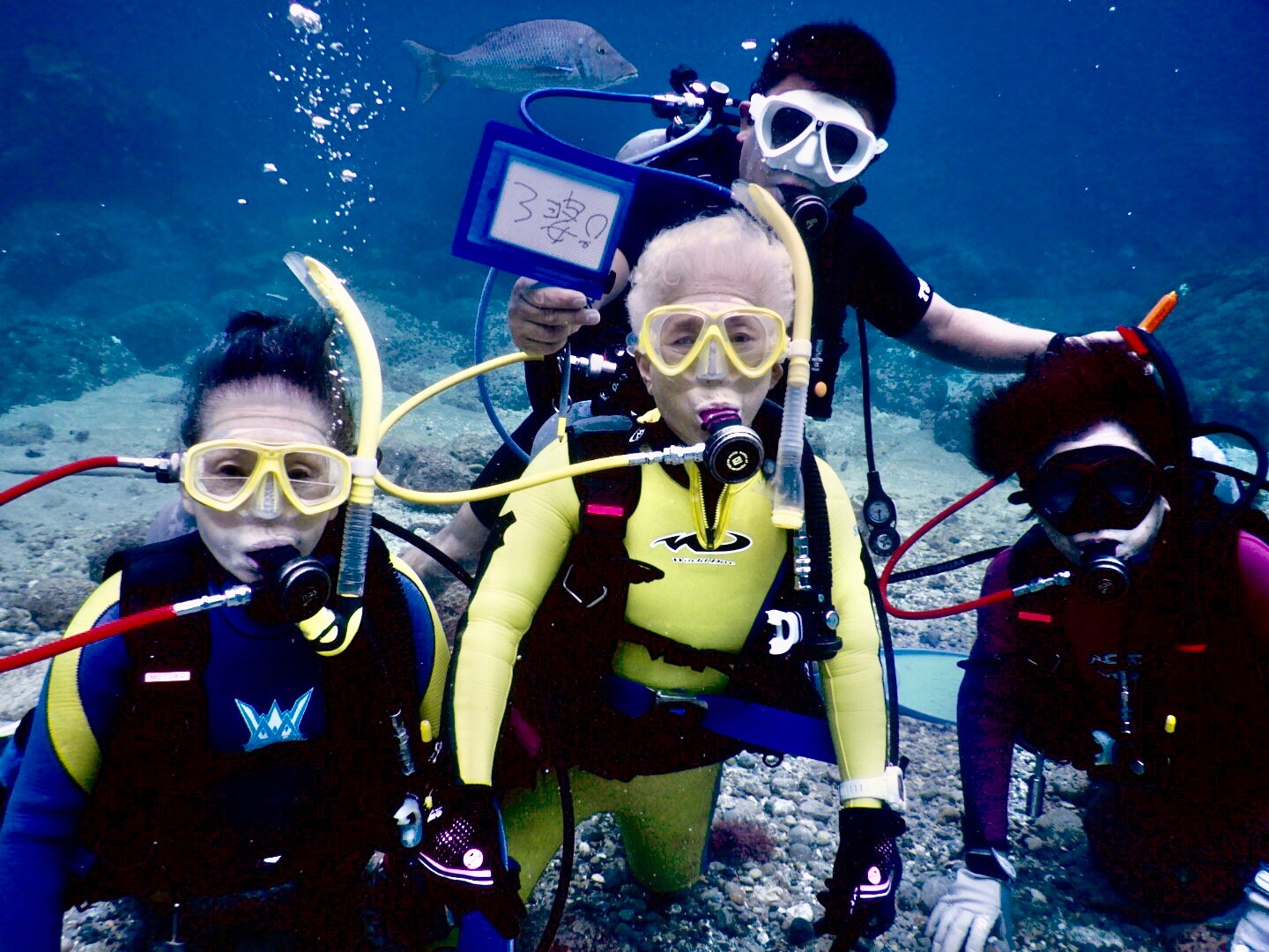 80歳ダイバーの神津島ツアー！ – 神奈川県横浜市のダイビングスクール