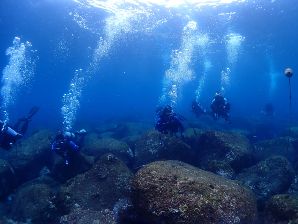 夏休み延長ツアー‼️@三宅島 – 神奈川県横浜市のダイビングスクール